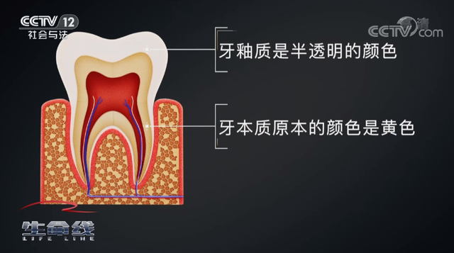 微信图片_20240528111050.png